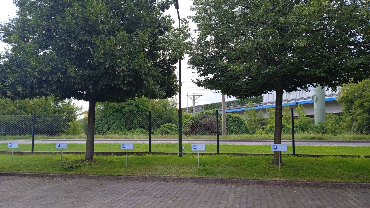 Olivia Trojanowska-5