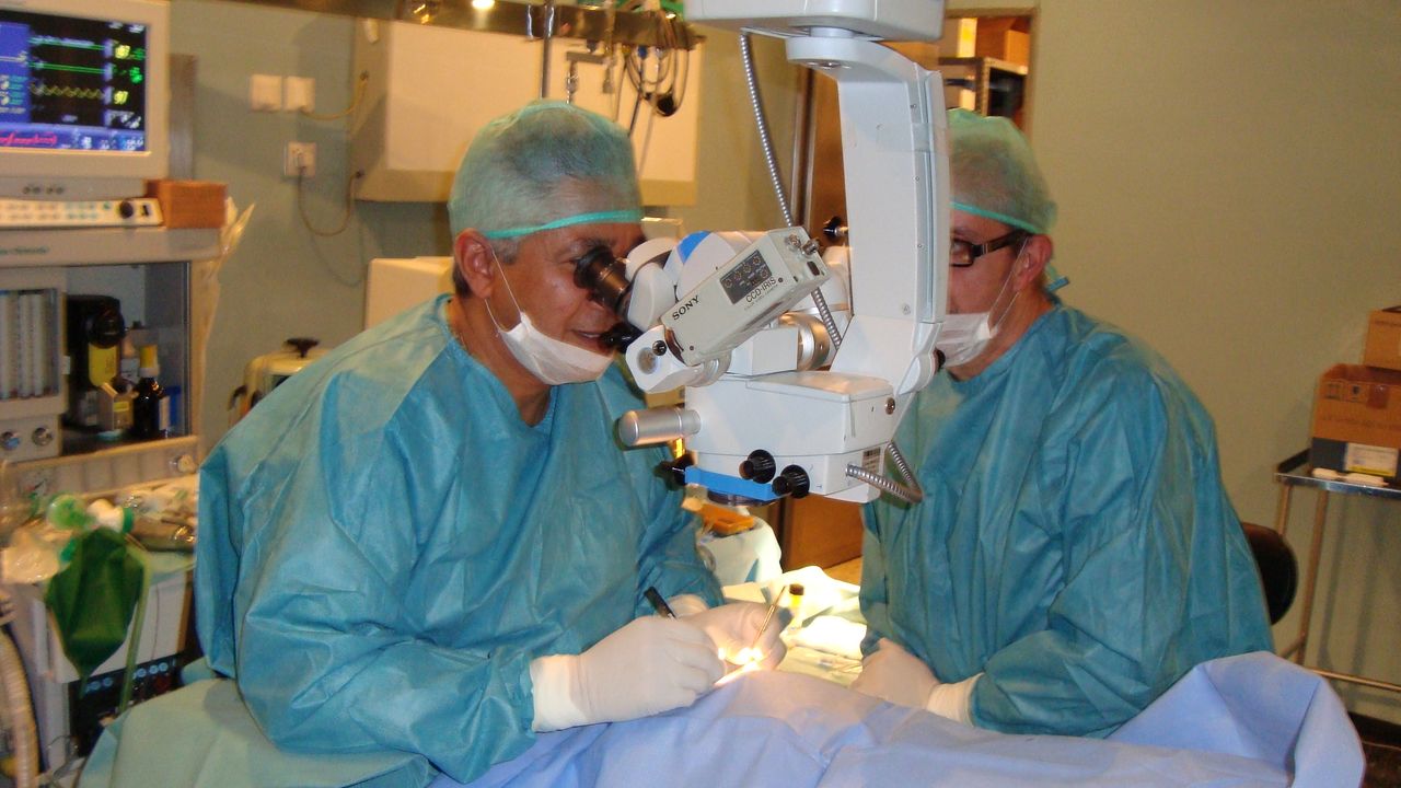 Wilfredo Menjivar Aguilar-11