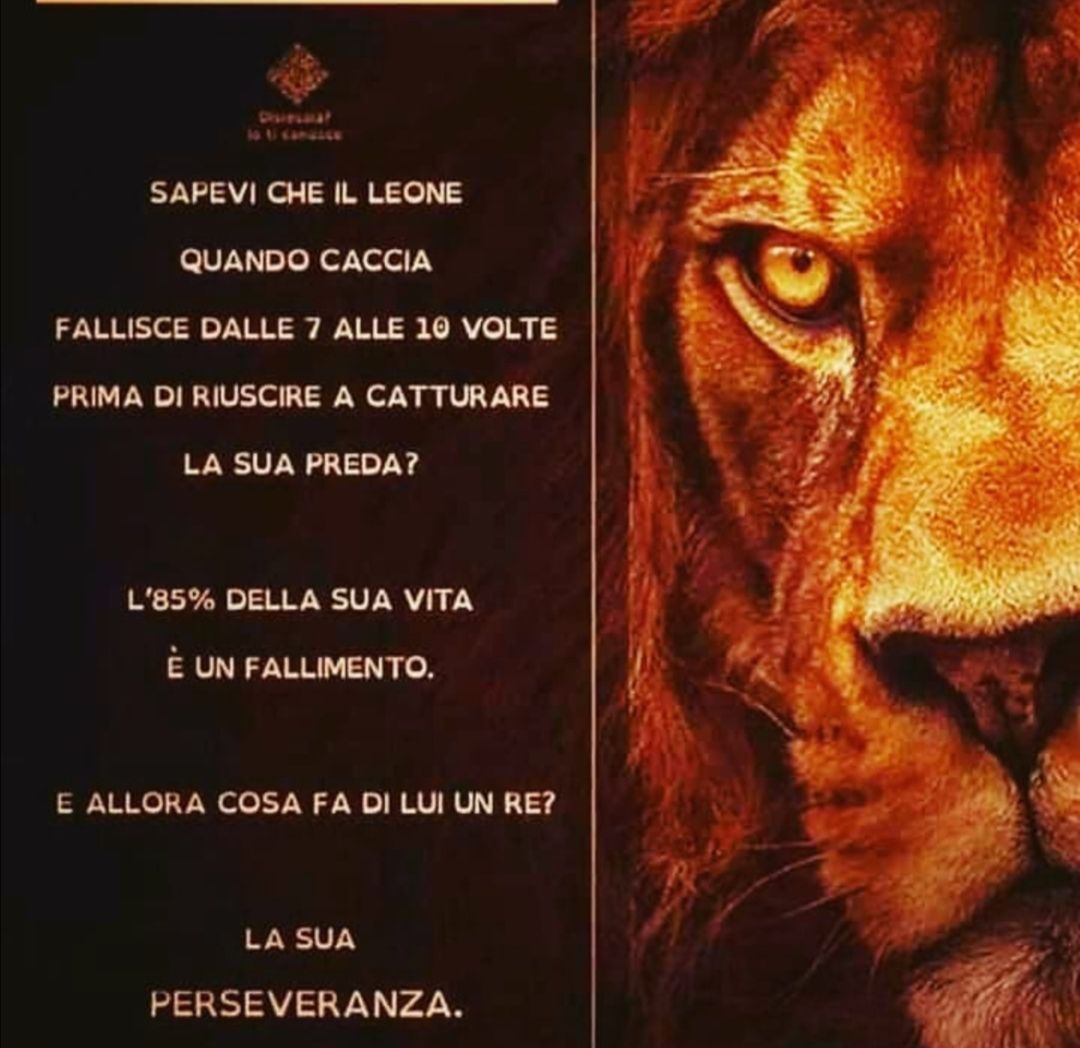 Francesco Sonzogni-35