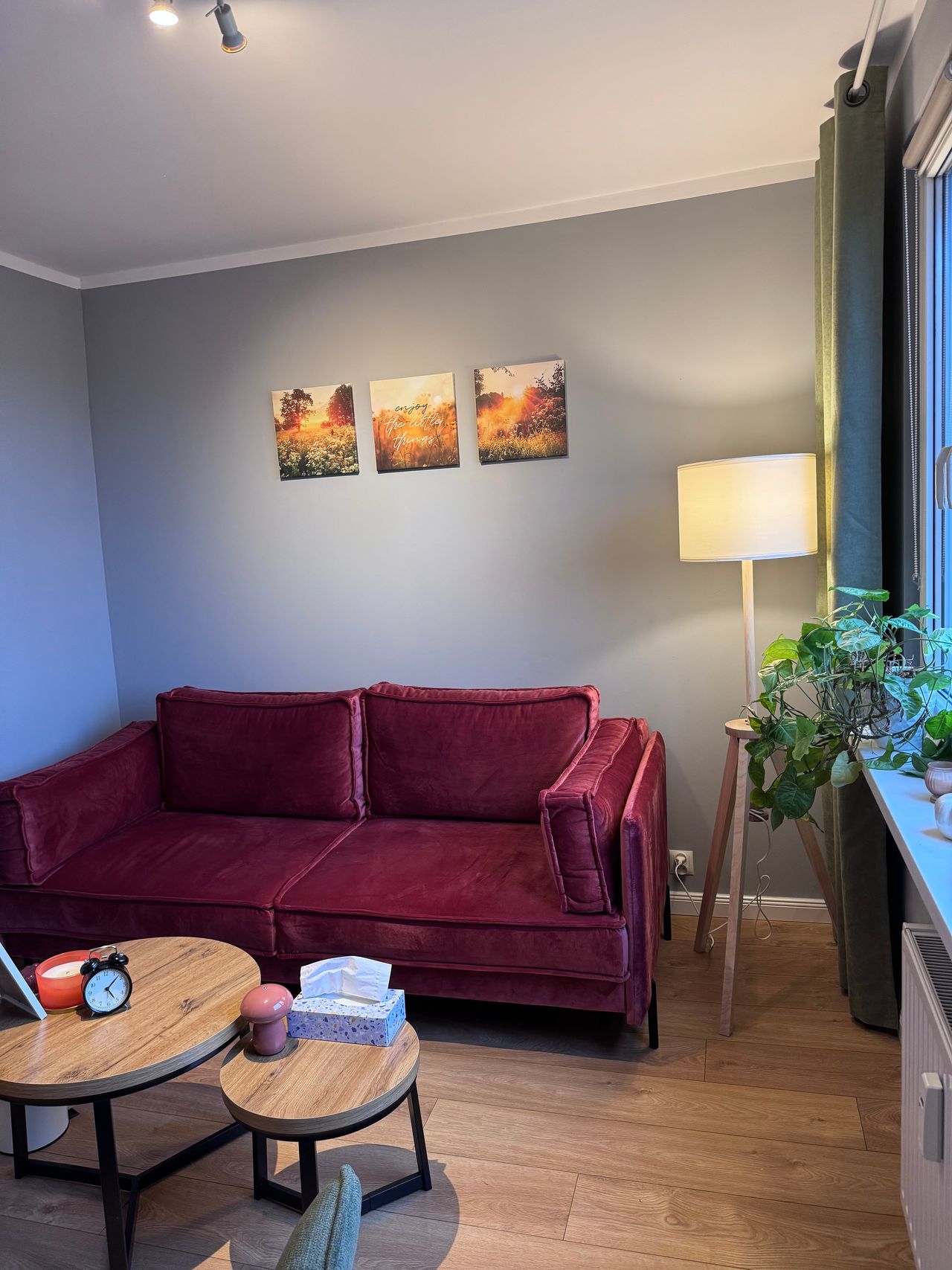 Agata Niedźwiedź-Dąbkowska-4