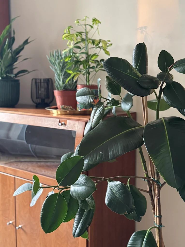 Sylwia Borowiec-Herej-5