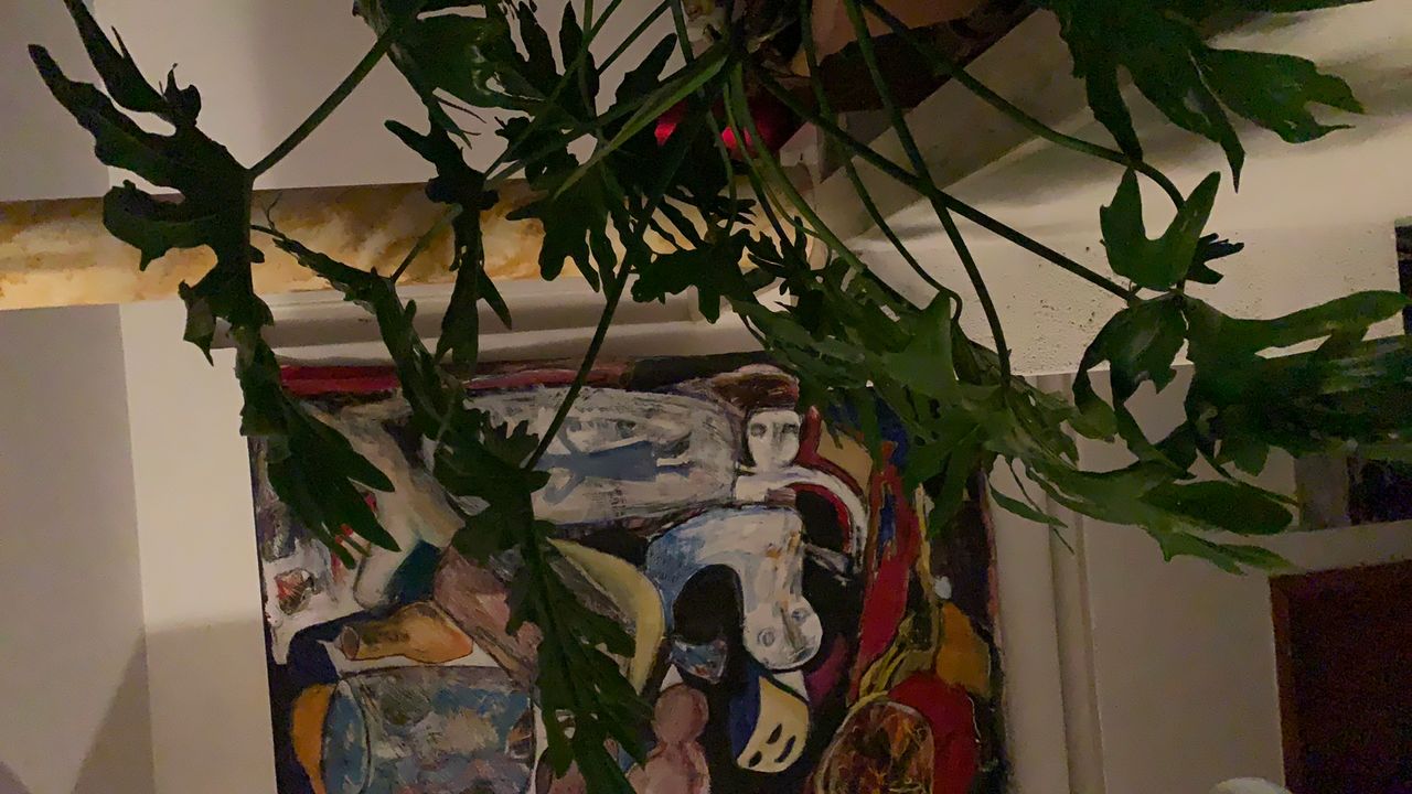 Domenico Fargnoli-25