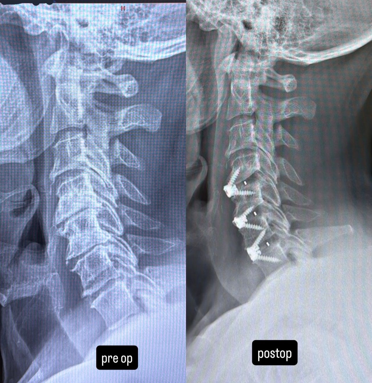 Marcin Niedźwiecki-1