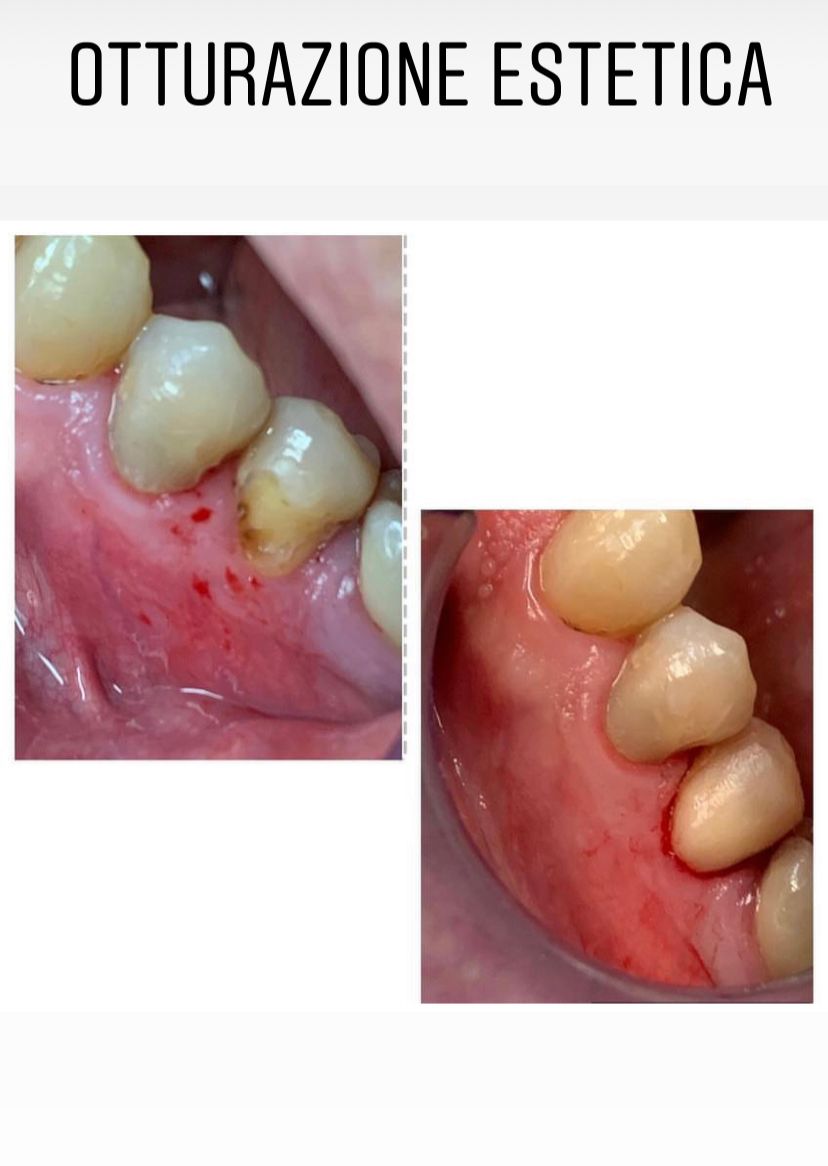 Maria Grazia Diaferia-5