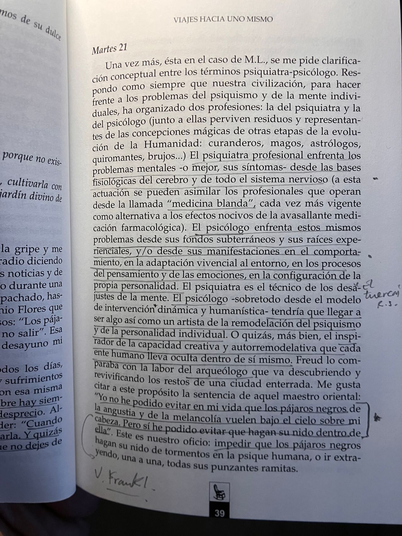Sergio Belinchón Hernández-31