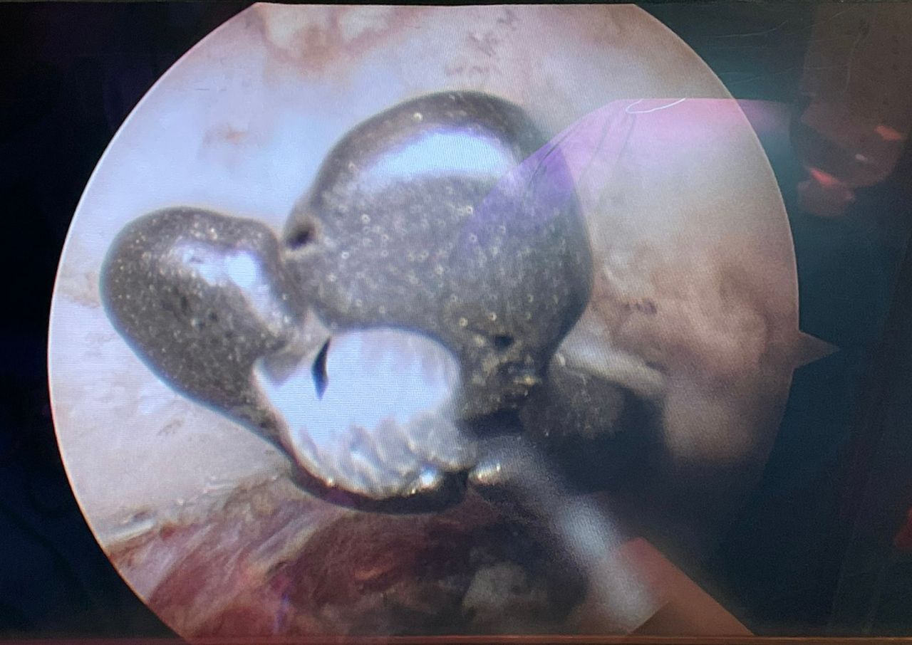 Manel Panadero Moncusi-15