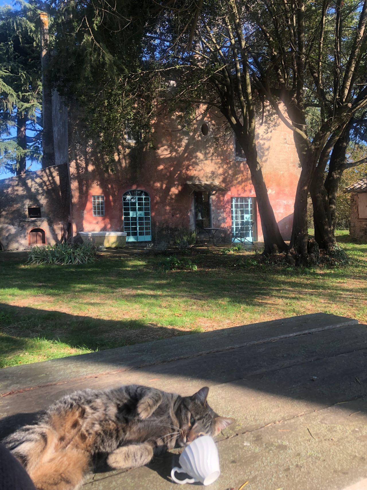 Giordano Vespasiani-57