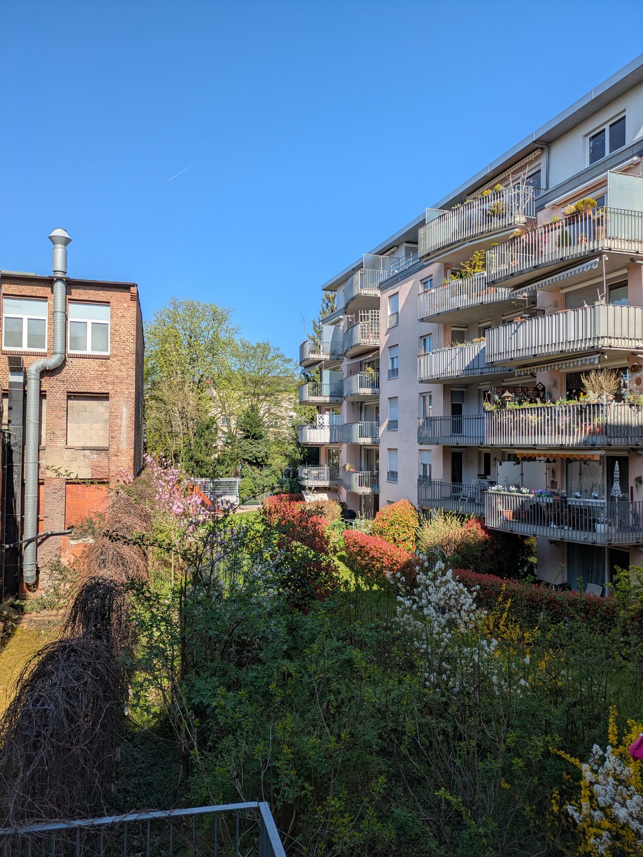 Michael Häusler Do.cn.® Heilpraktiker-5