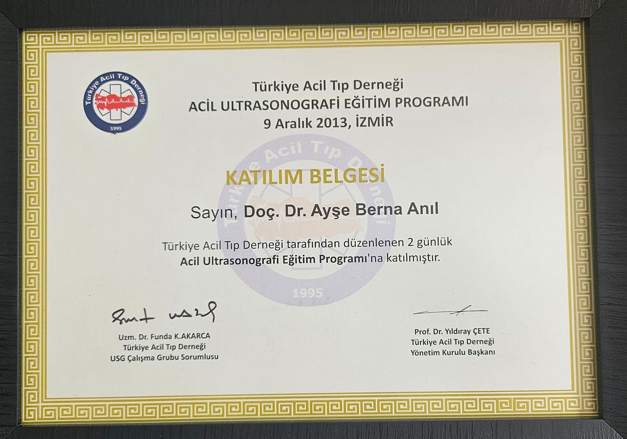 Ayşe Berna Anıl-45