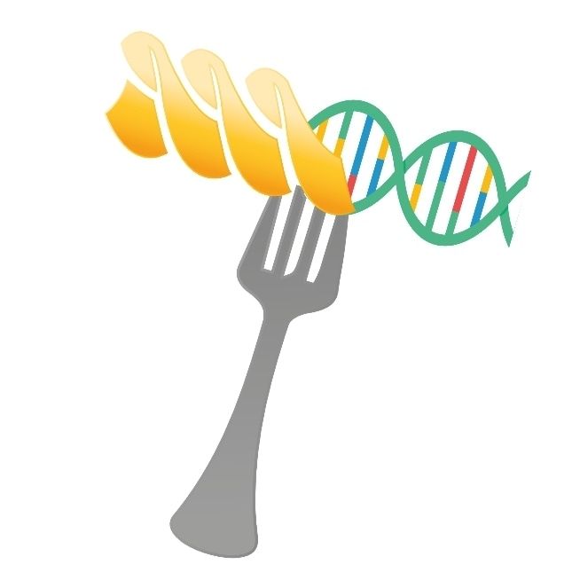 Christian Ambrosini-0