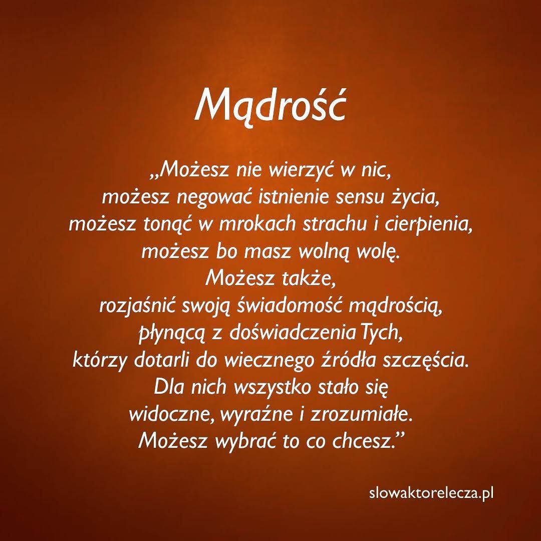 Krzysztof Wardęcki-17