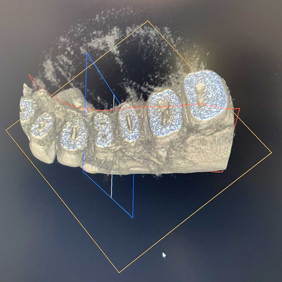 Gianluigi Bittante-65