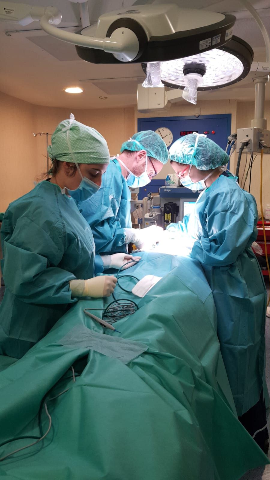 Juan Carlos Meneu Díaz-27