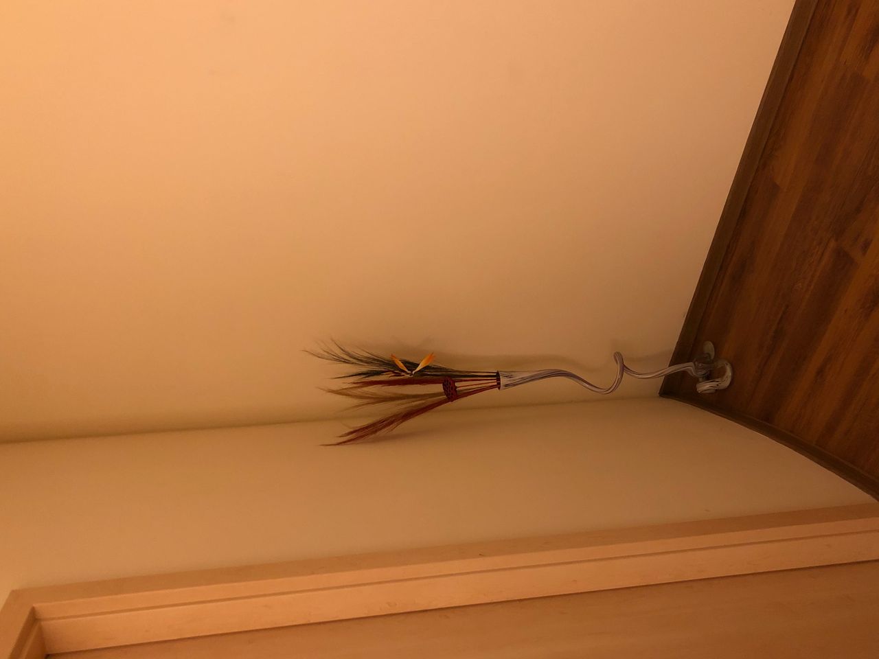 Anna Kowalkiewicz-Oligny-5