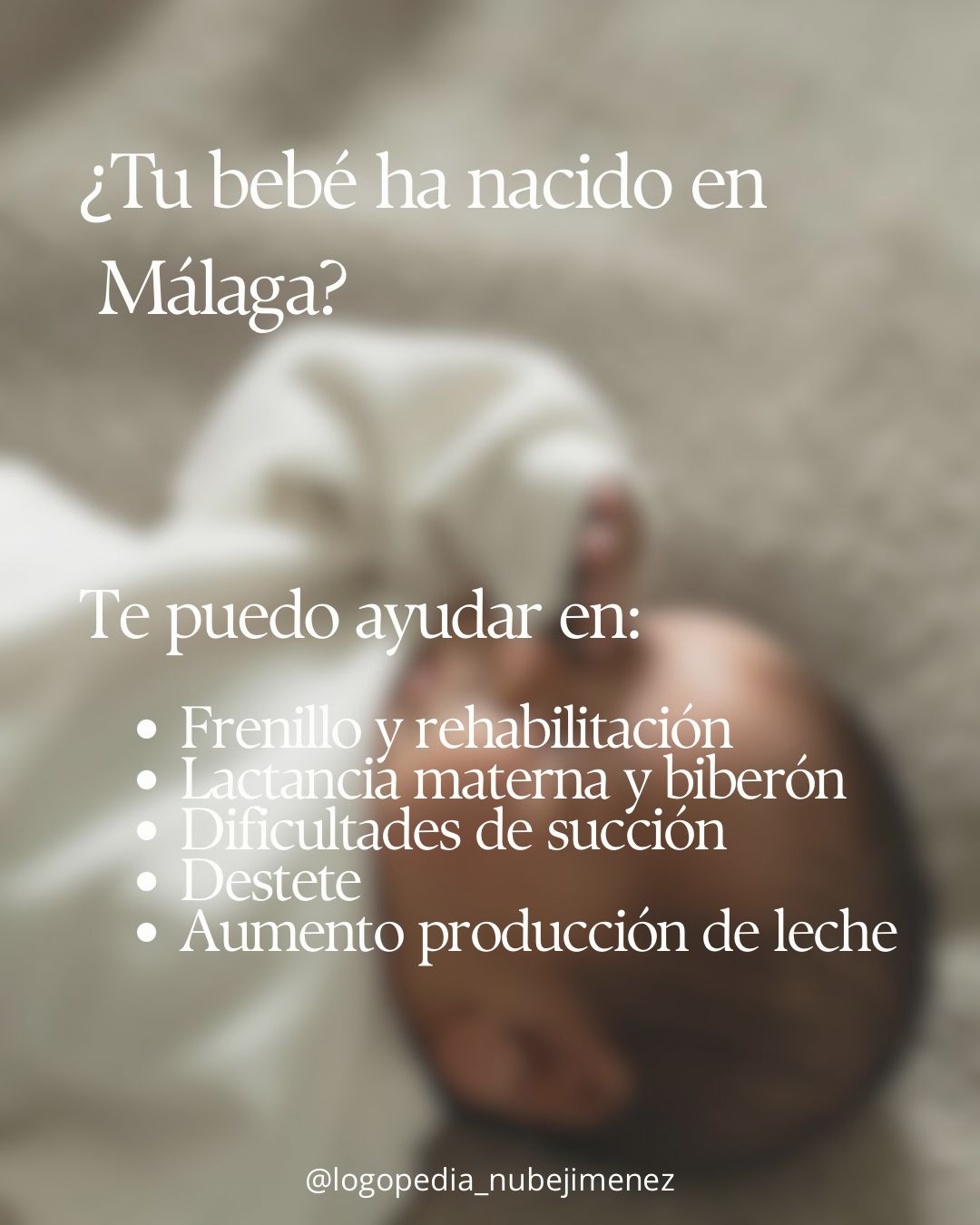 Nube Jiménez Palma-1