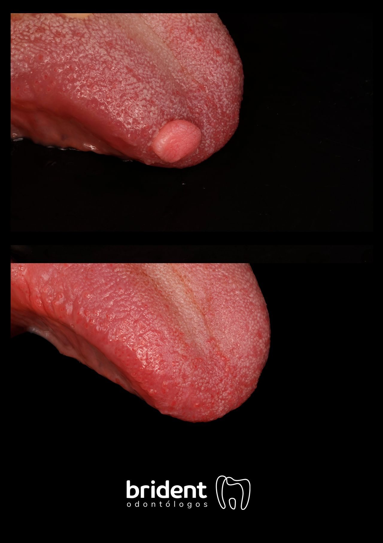 Marta Moreno Masiá-22