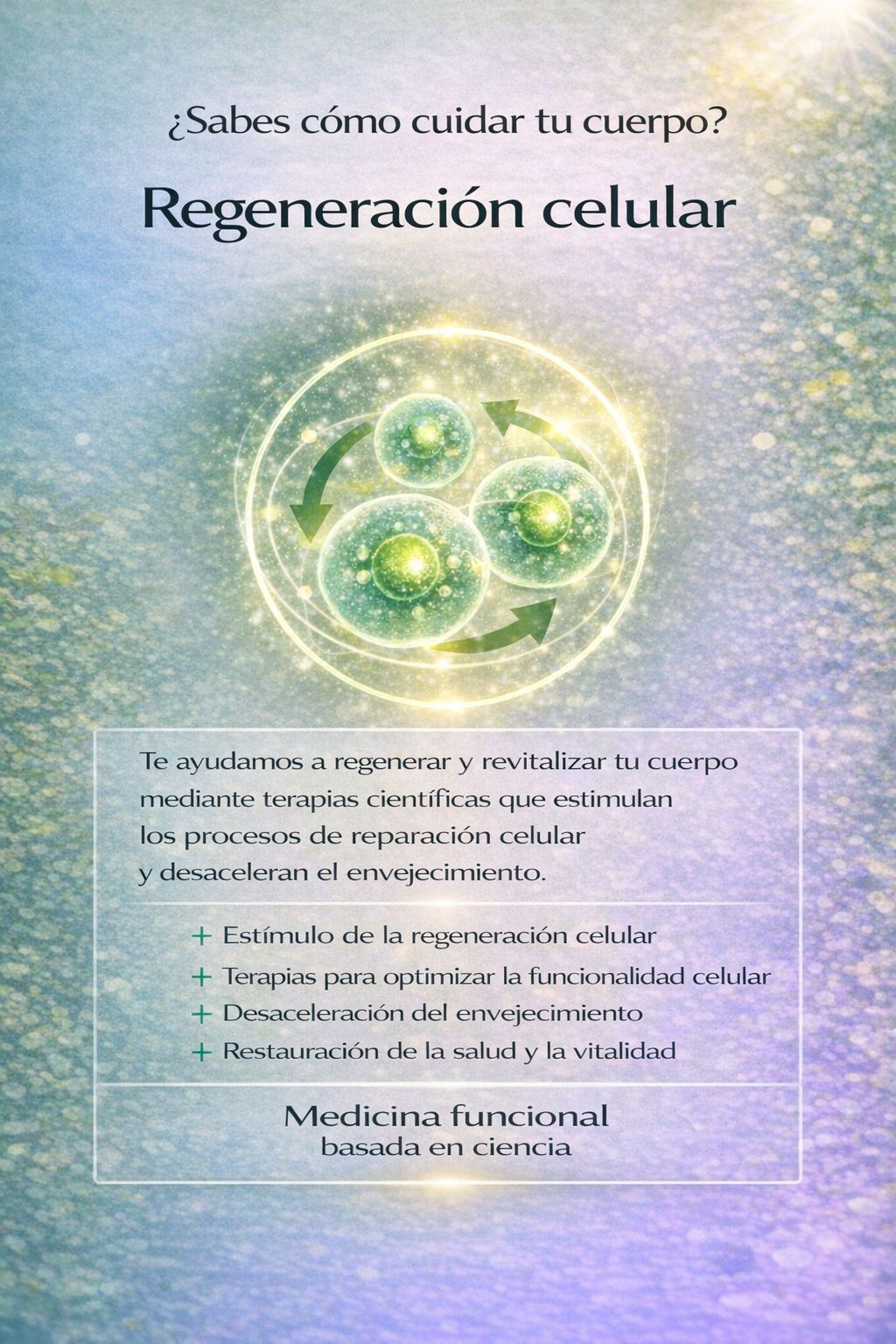 Ninet Vijil Scalici-7