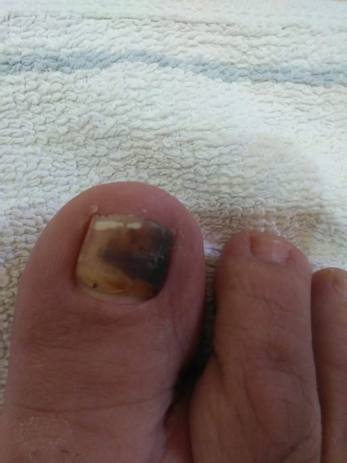 Kassandra Nicolosi-67