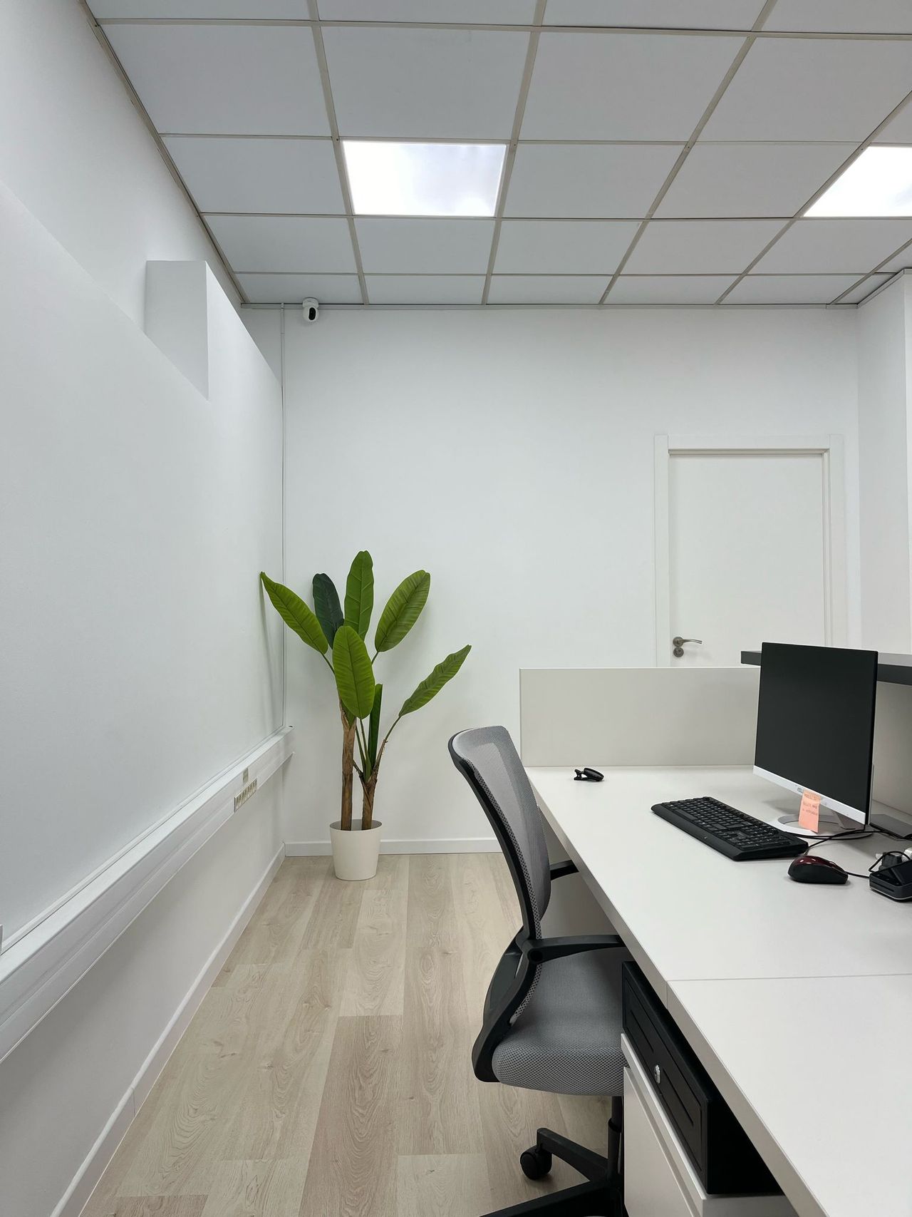 Ruth Vicens Cabrera-6