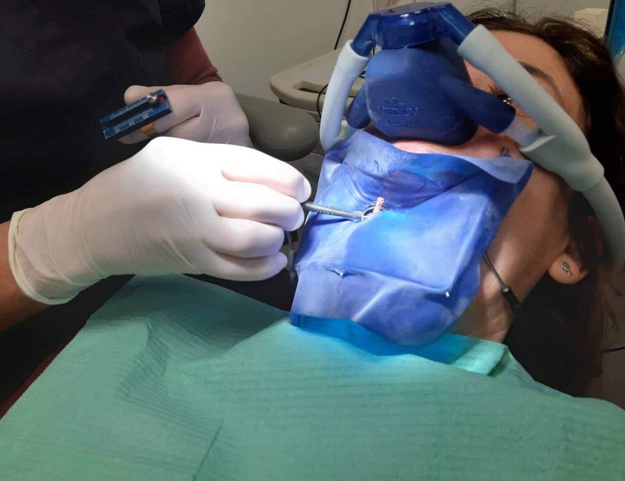 Daniela Beatrice Calef-6