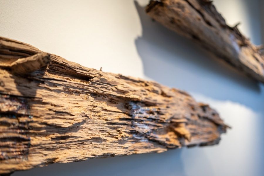 Jascha Von Blanckenburg-4