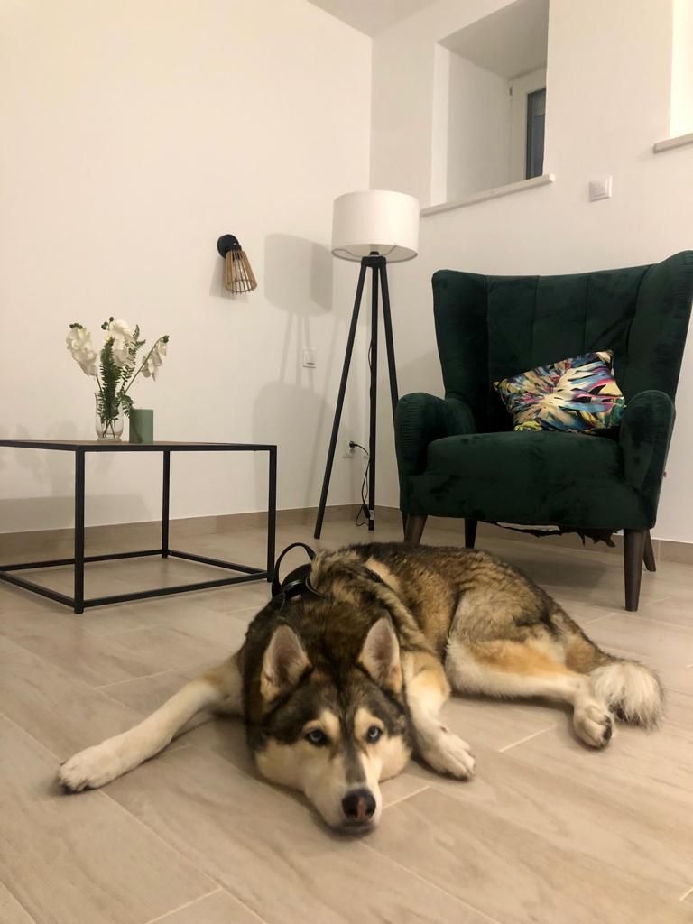 Paulina Żuchowska-0