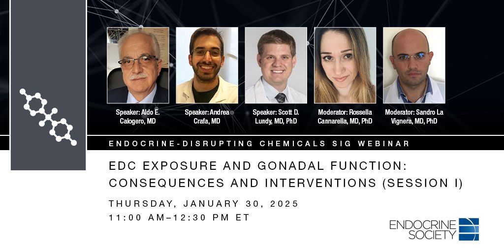 Rossella Cannarella-0