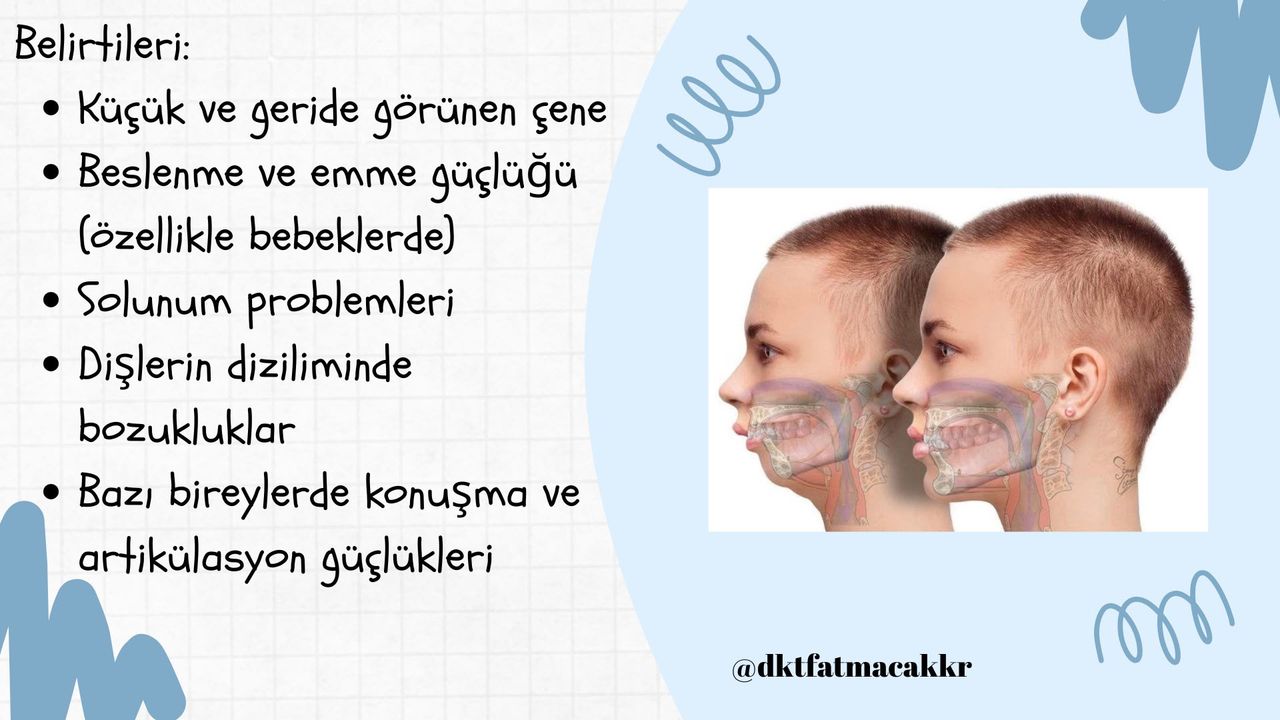 Fatma Çakır-48