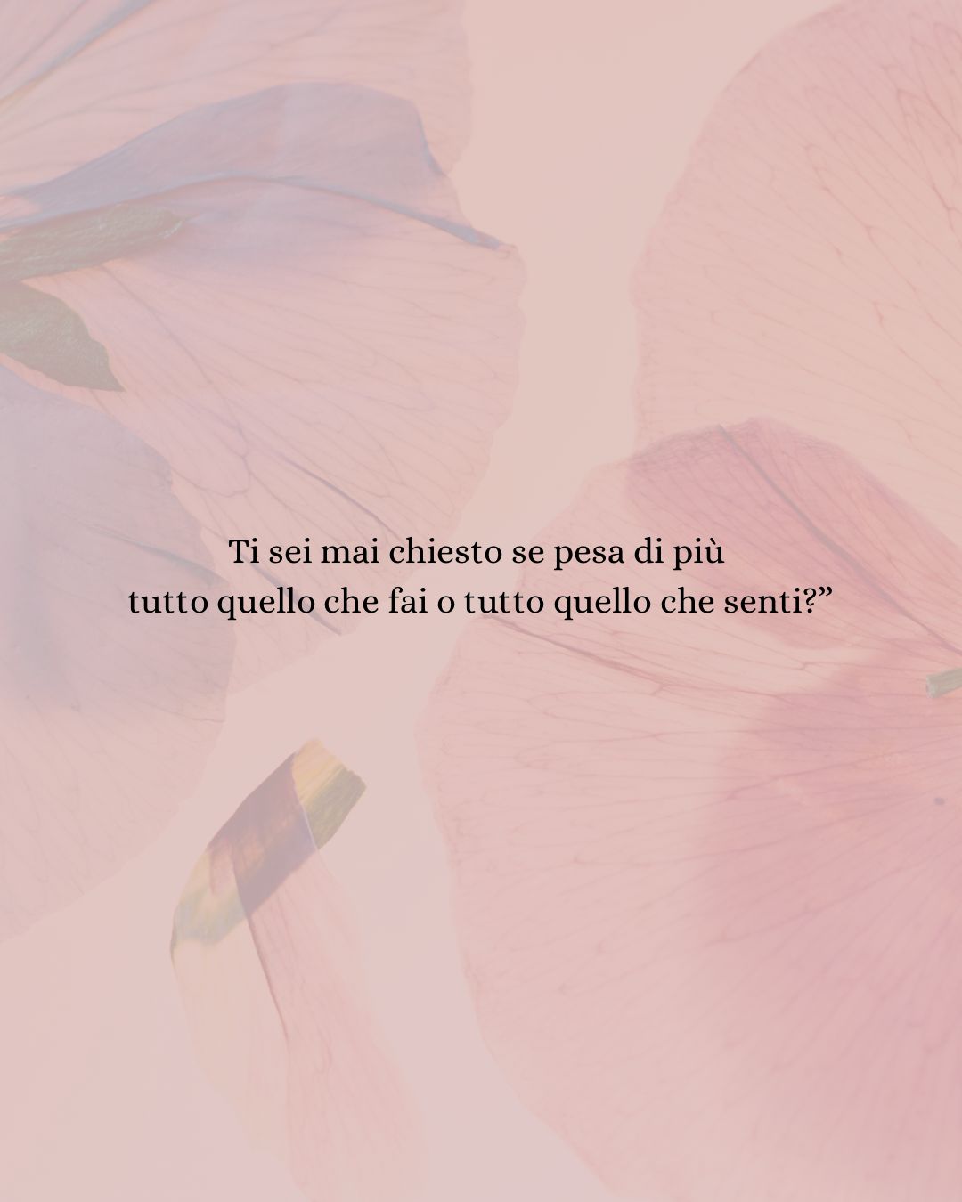 Virginia Vazzoler-21