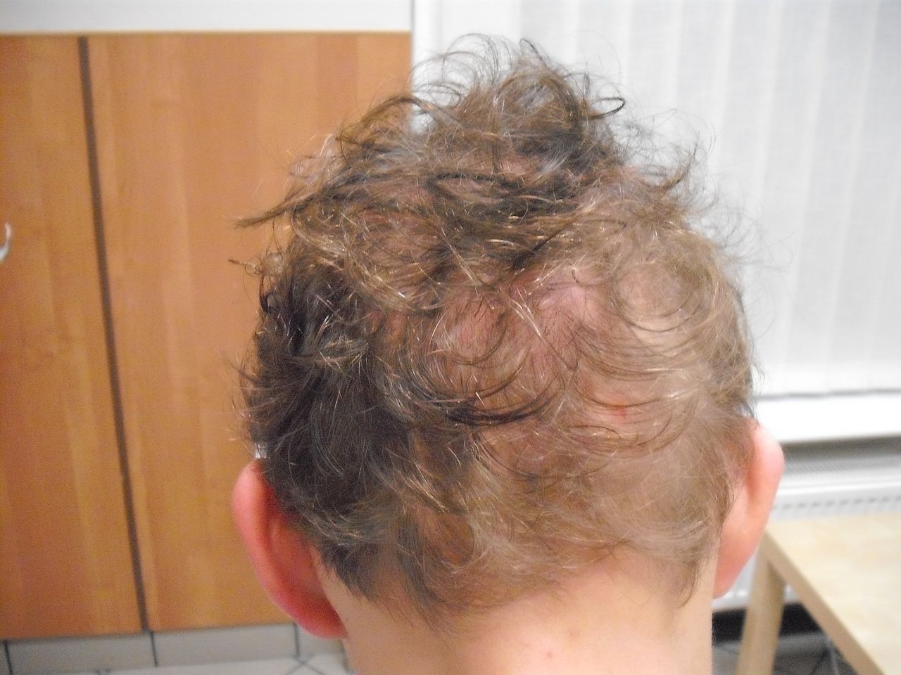 Elżbieta Wiszniewska-Gauer-6