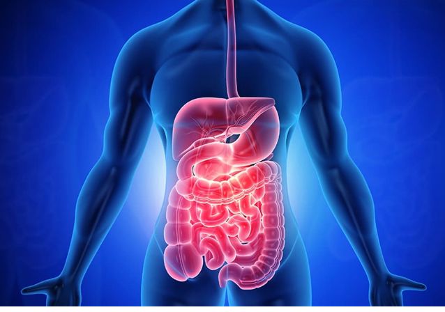 Ayhan Bülent Erkek-5