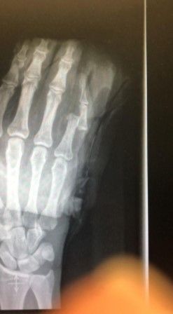 Giampaolo Monacelli-0