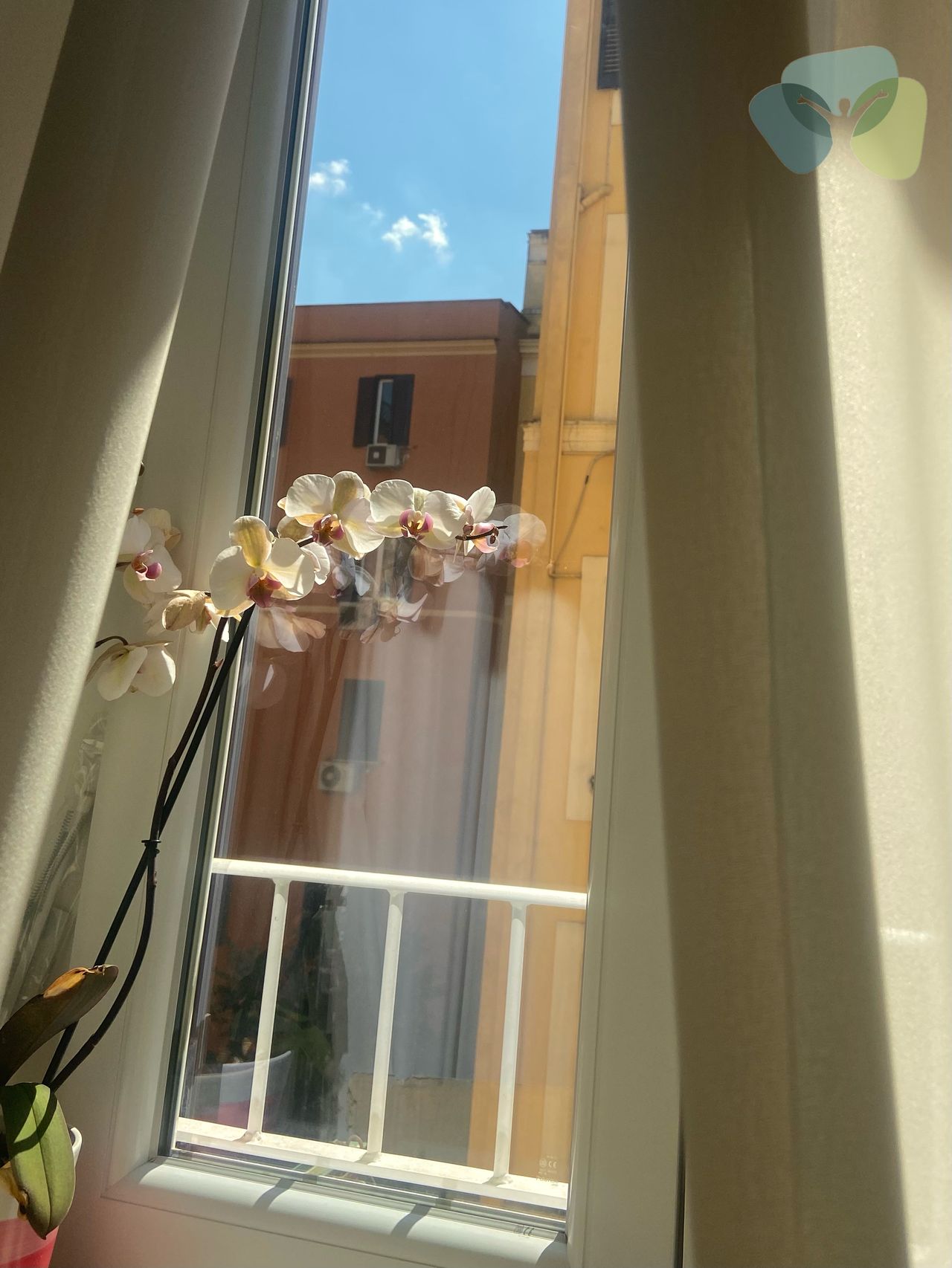 Eleonora Iacobelli-5