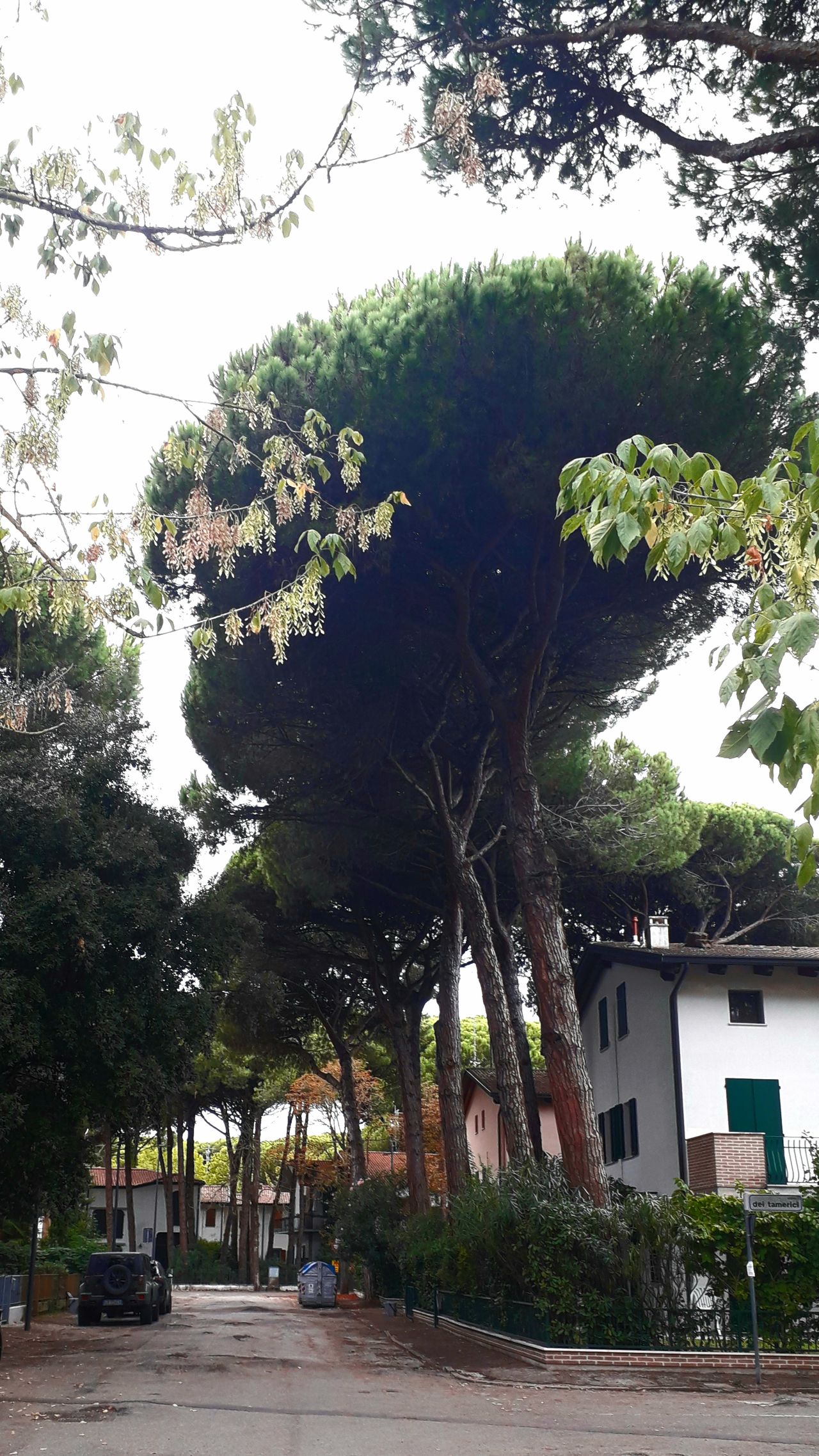 Gabriella Montanari-4