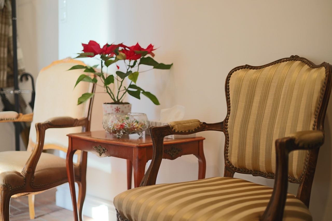 Aleksandra Jezierska-6