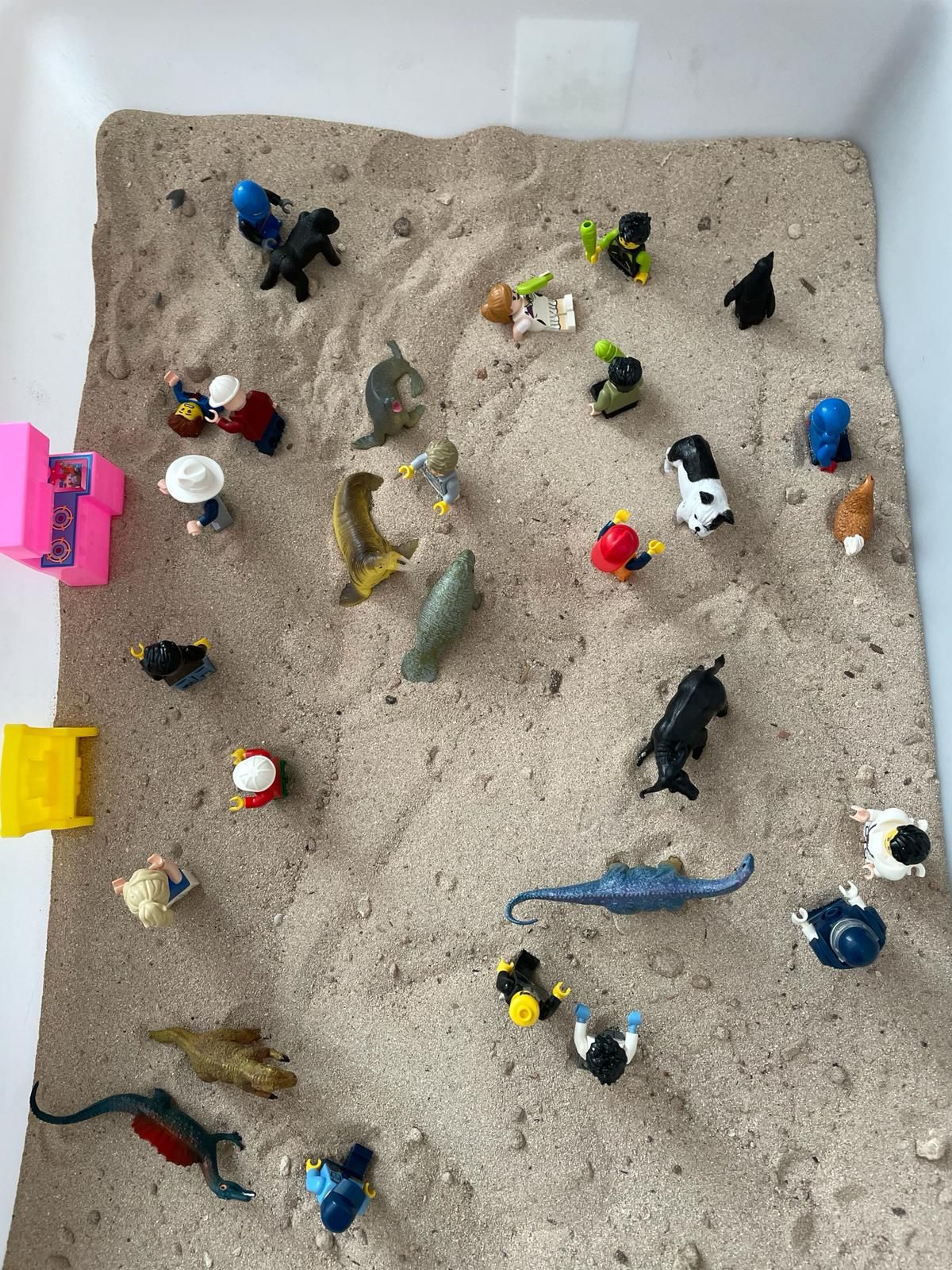 Neus Cardos Minguillan-1