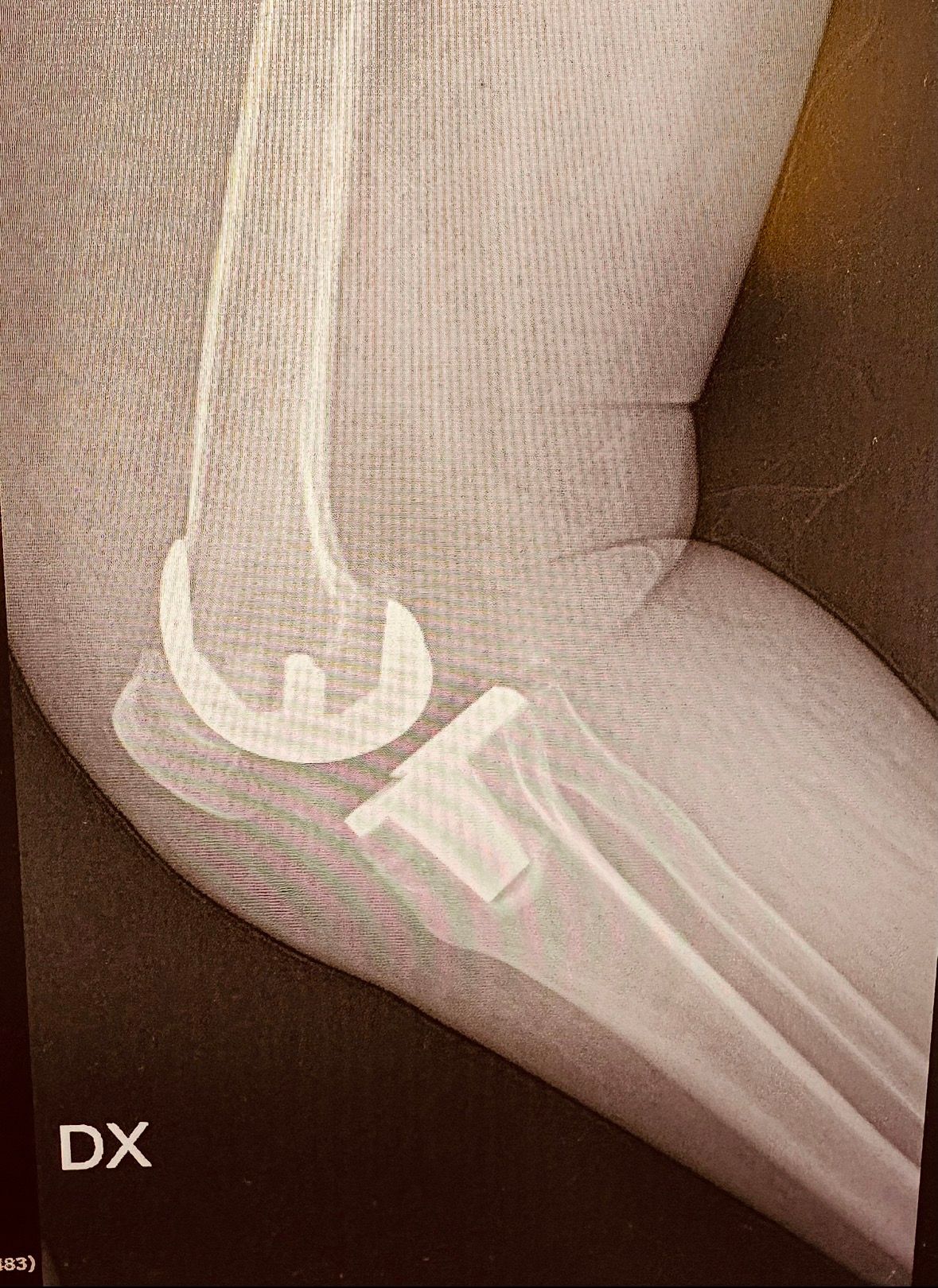 Daniele Passaretti-22