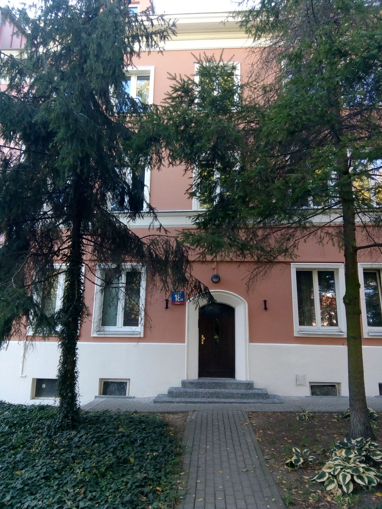 Grzegorz Witkowski-0