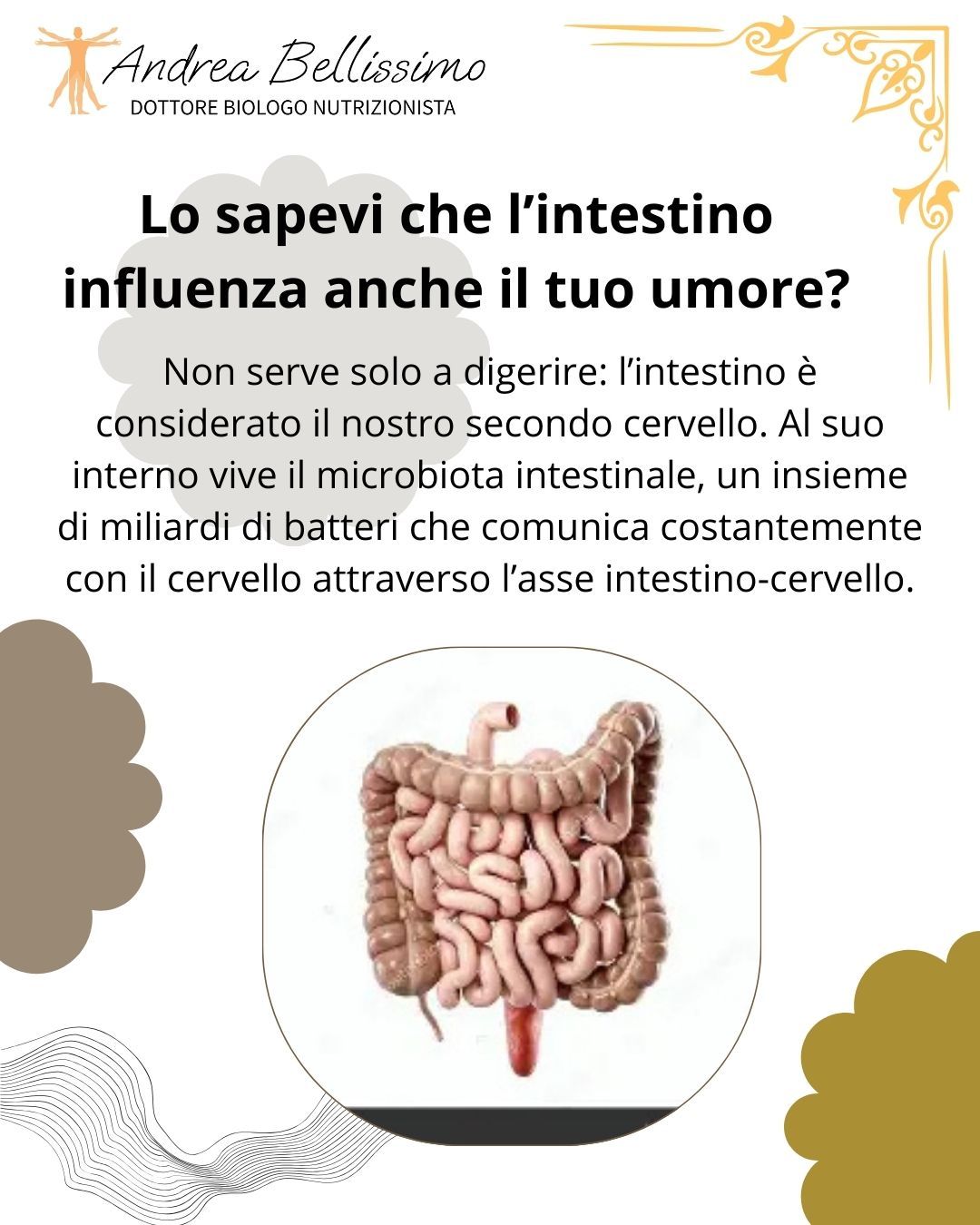 Bellissimo Andrea Rocco-9