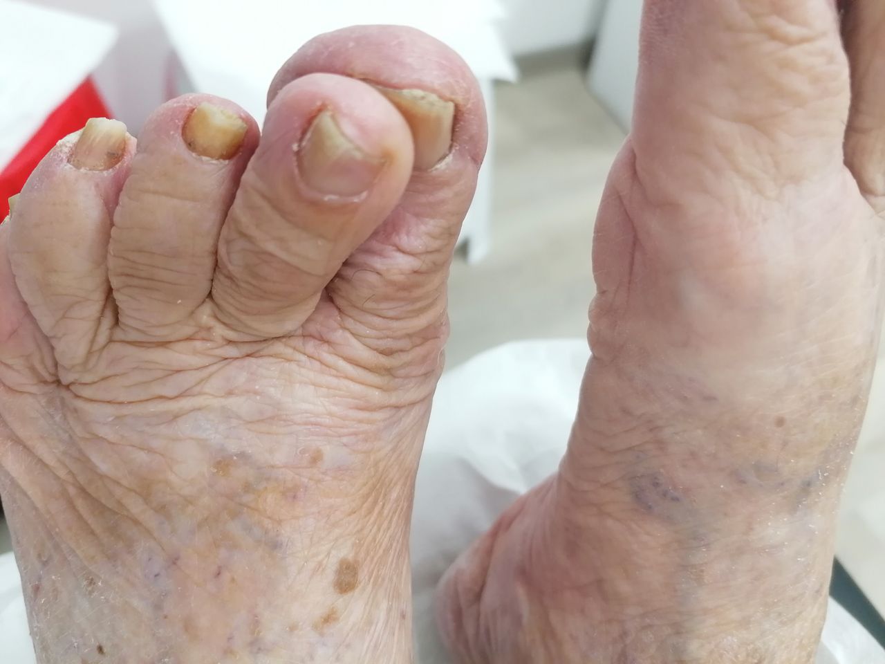 Kassandra Nicolosi-84