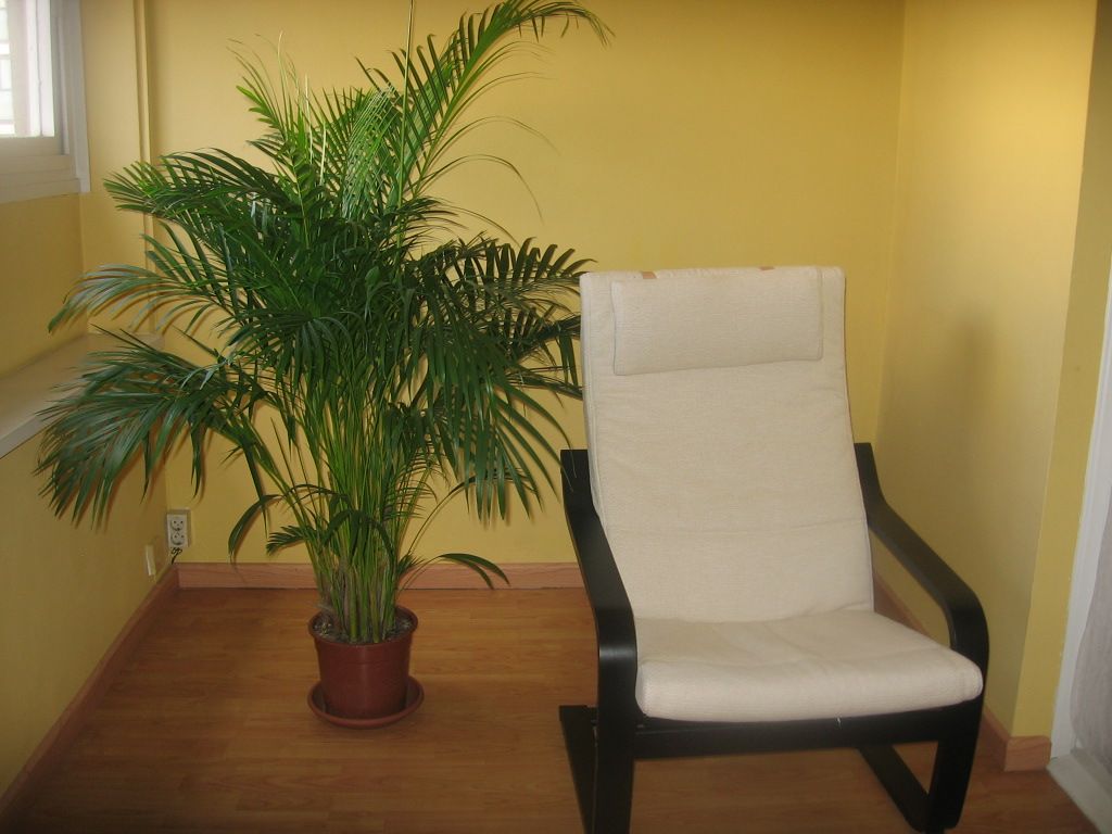 Sergio Florit Exposito-3