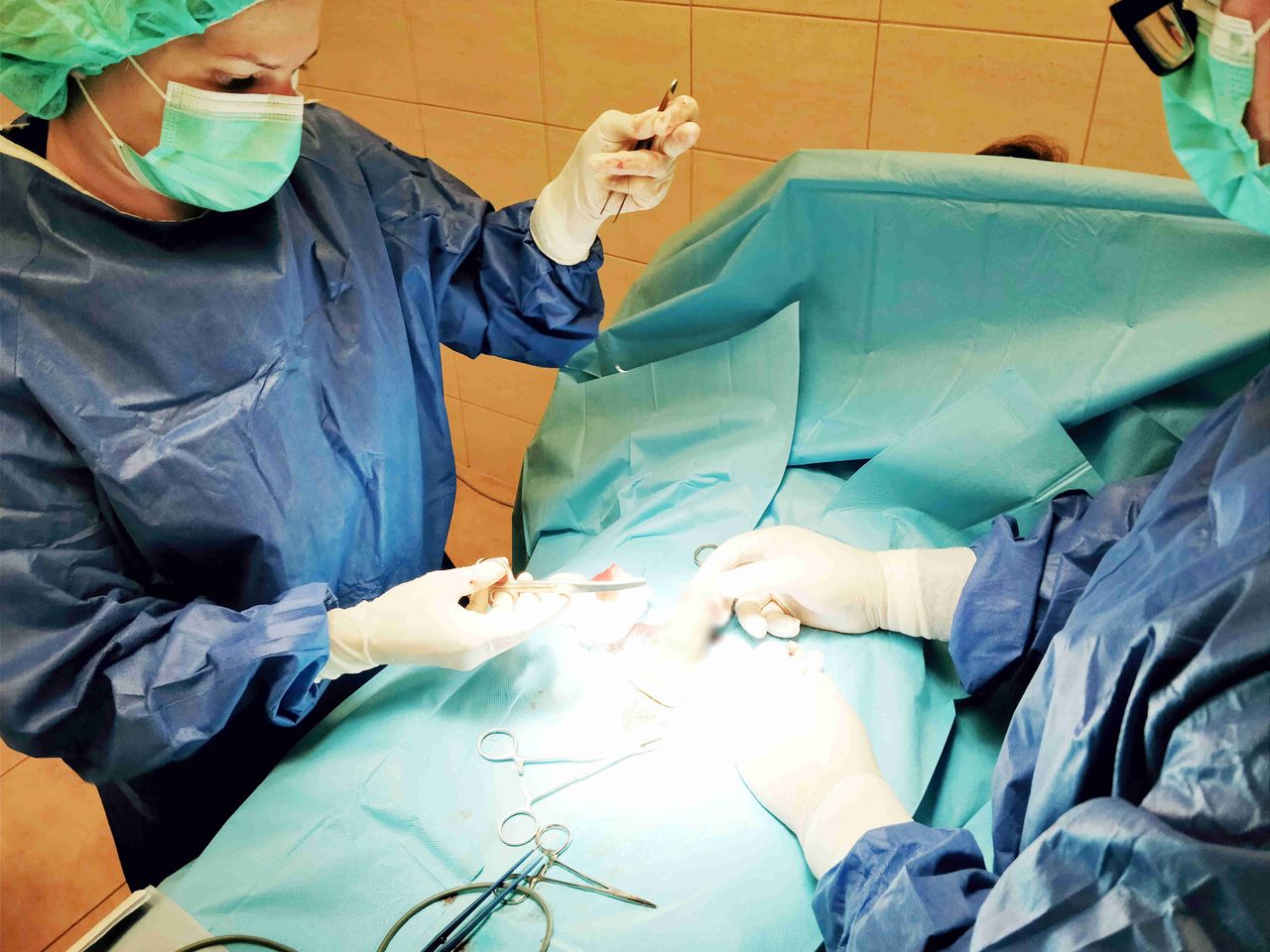 Agnieszka Nieradka-1