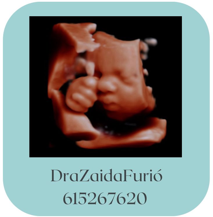 Zaida Furió Bernardo-5