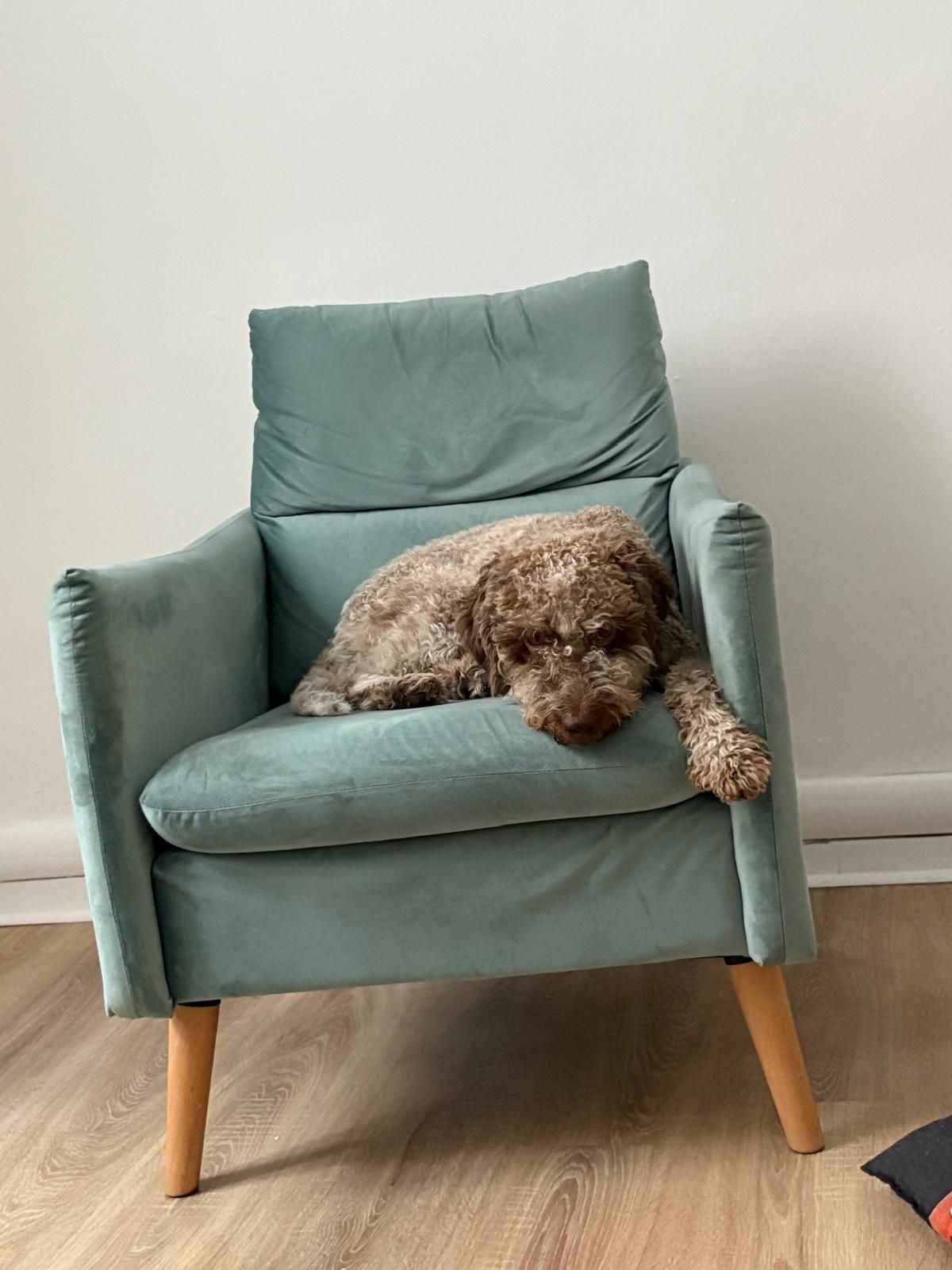 Giuseppe Umberto Rizzo-5