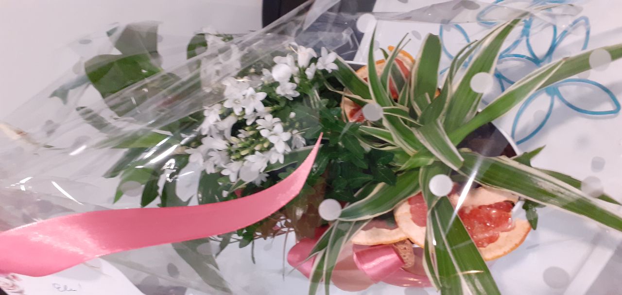 Elżbieta Pardej-Kraska-7