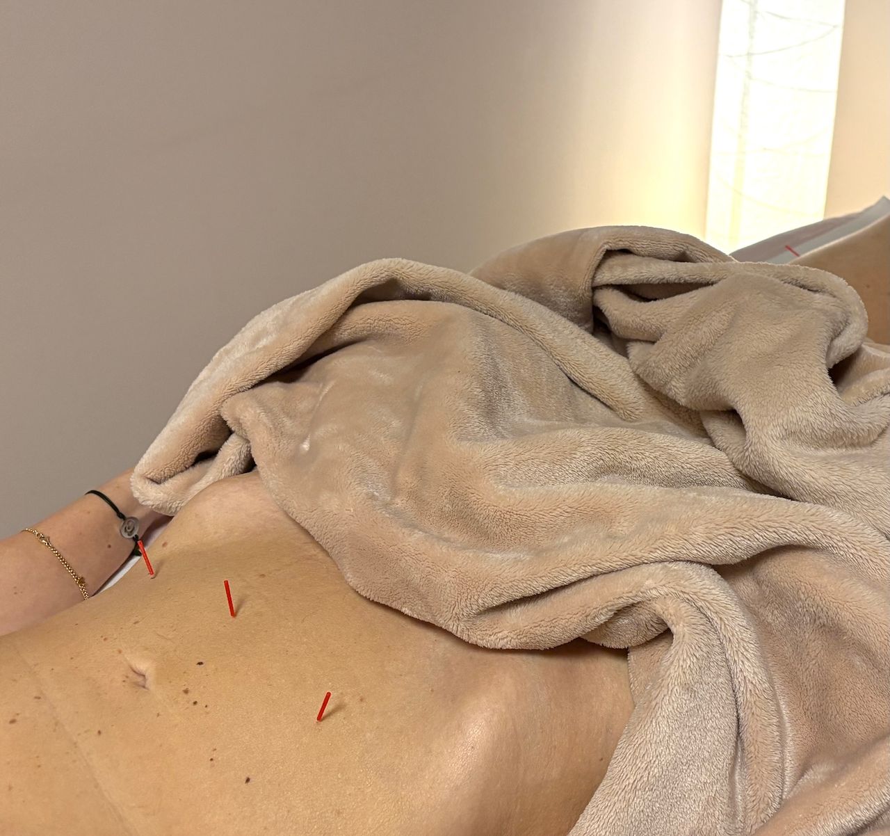 Silvia Cosetta Guardini-4