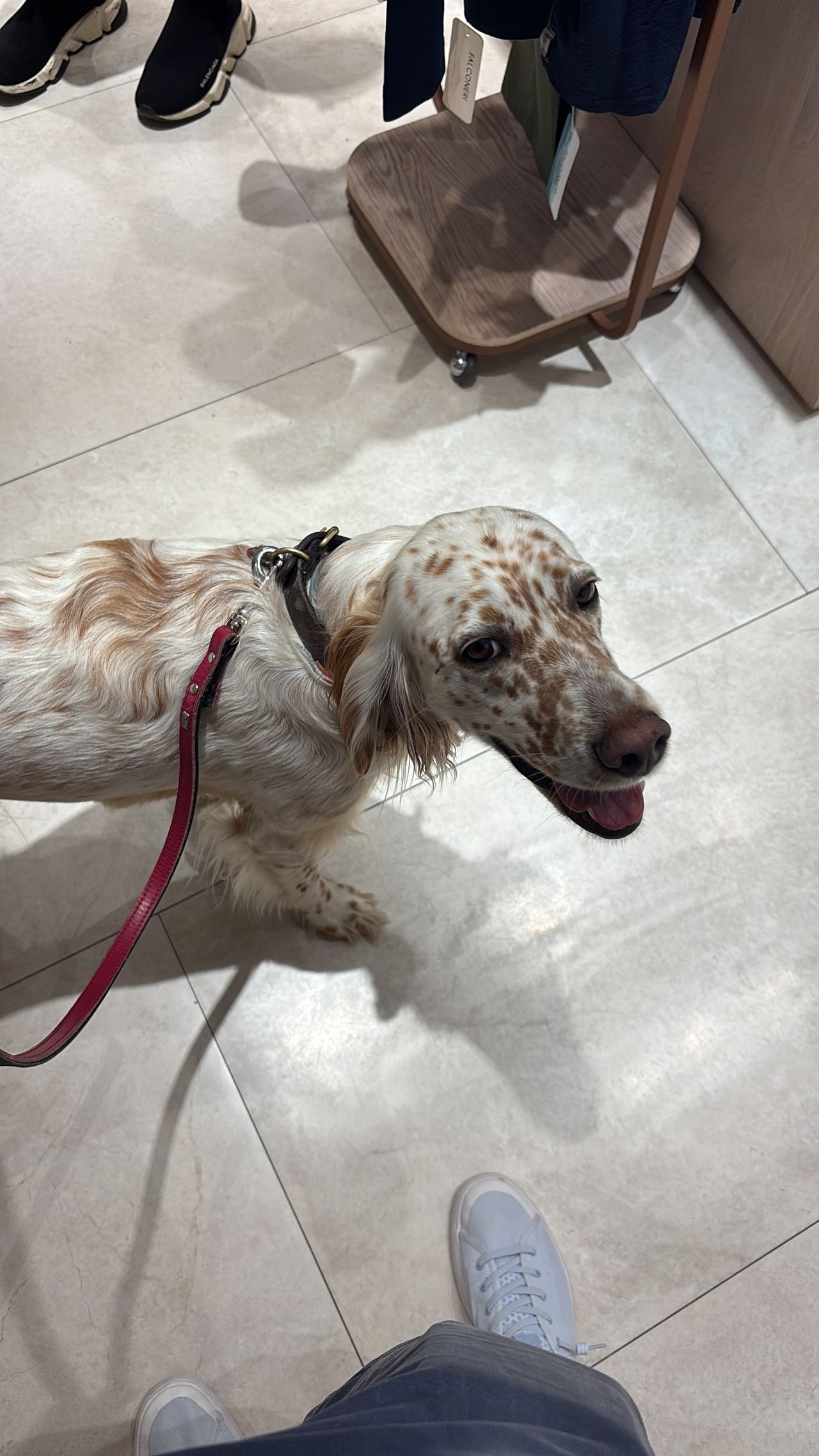 Giordano Vespasiani-3