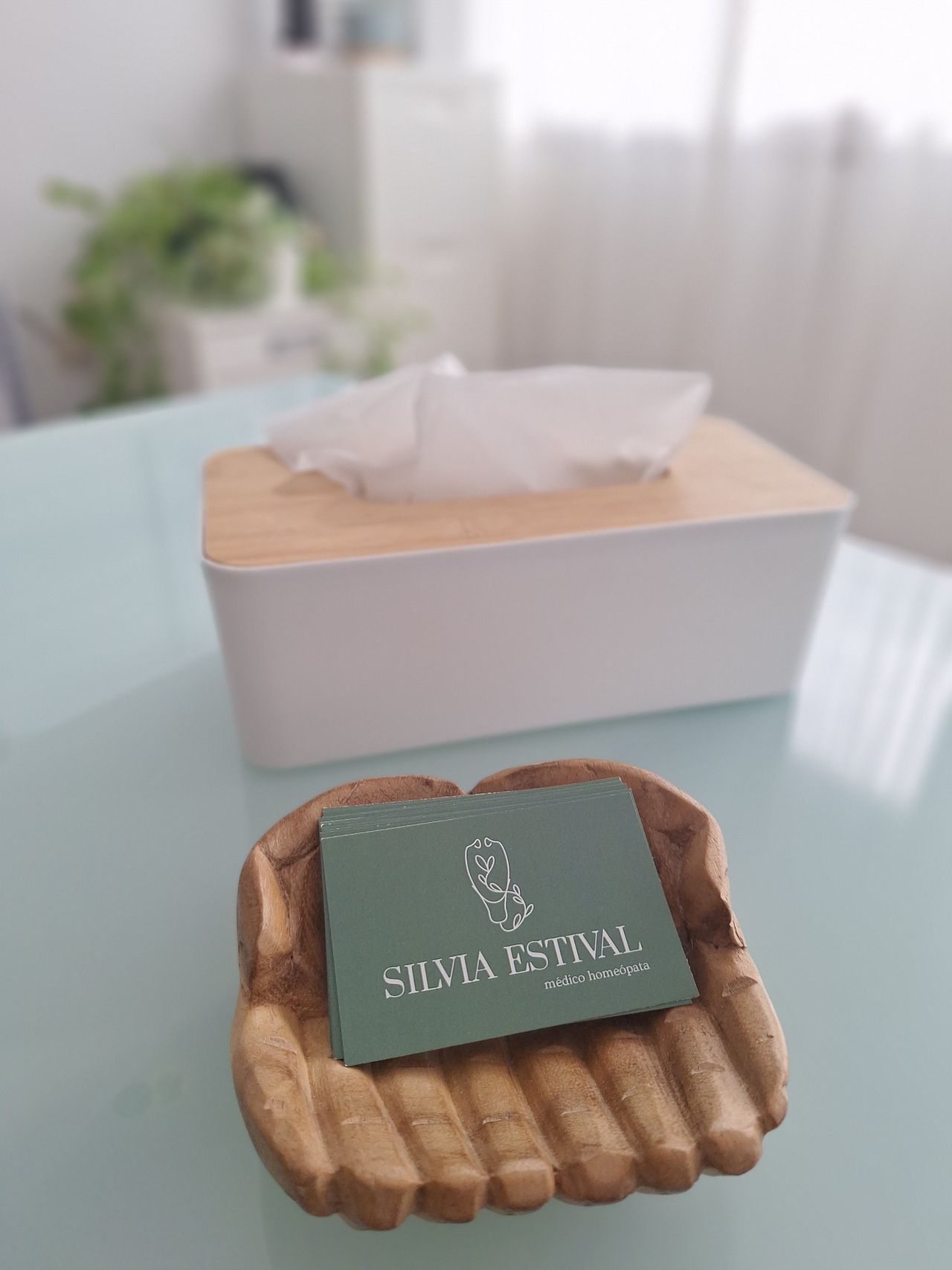 Silvia Estival Medina-3