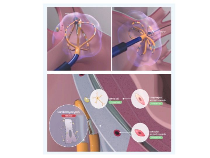 Antonio Hernandez Madrid-1