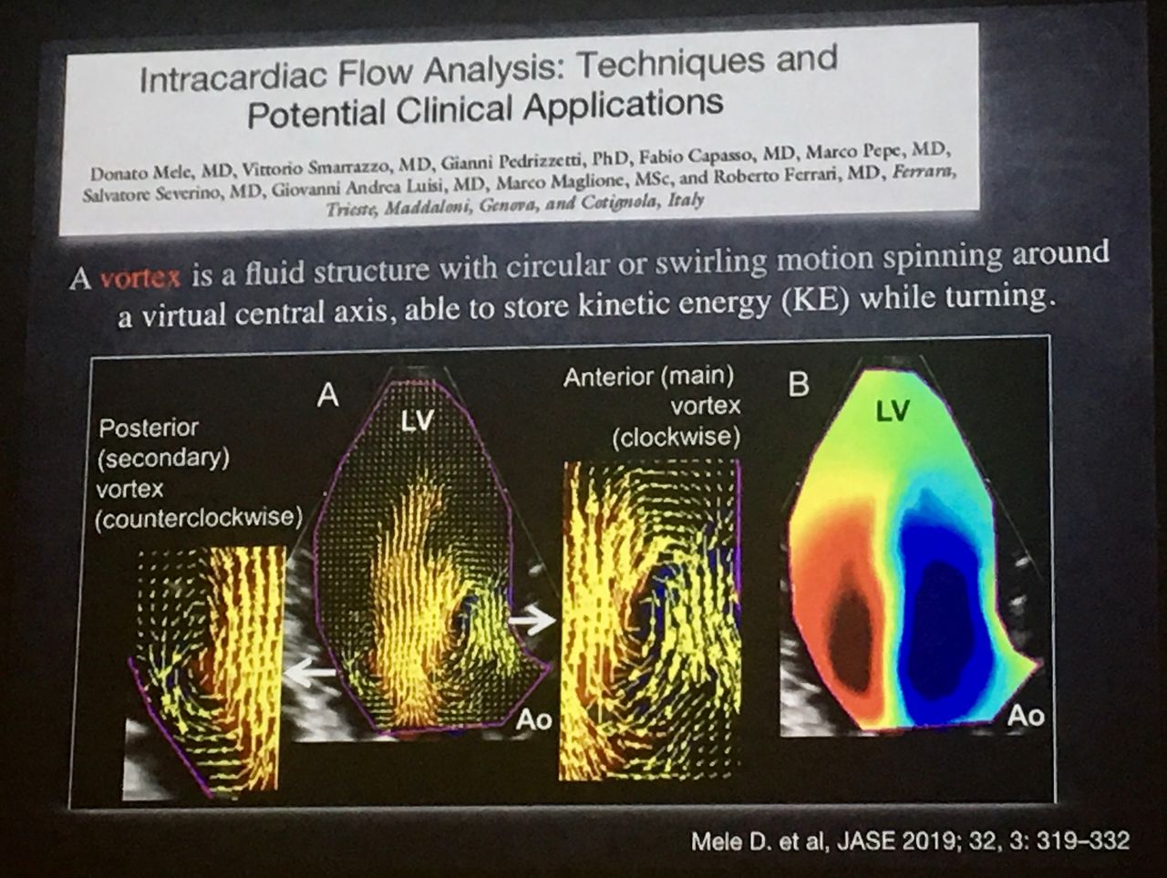 Salvatore Severino-13